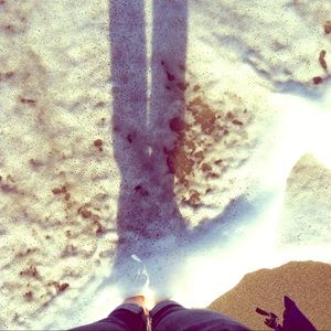 Meet your Posher, Daisy Francis